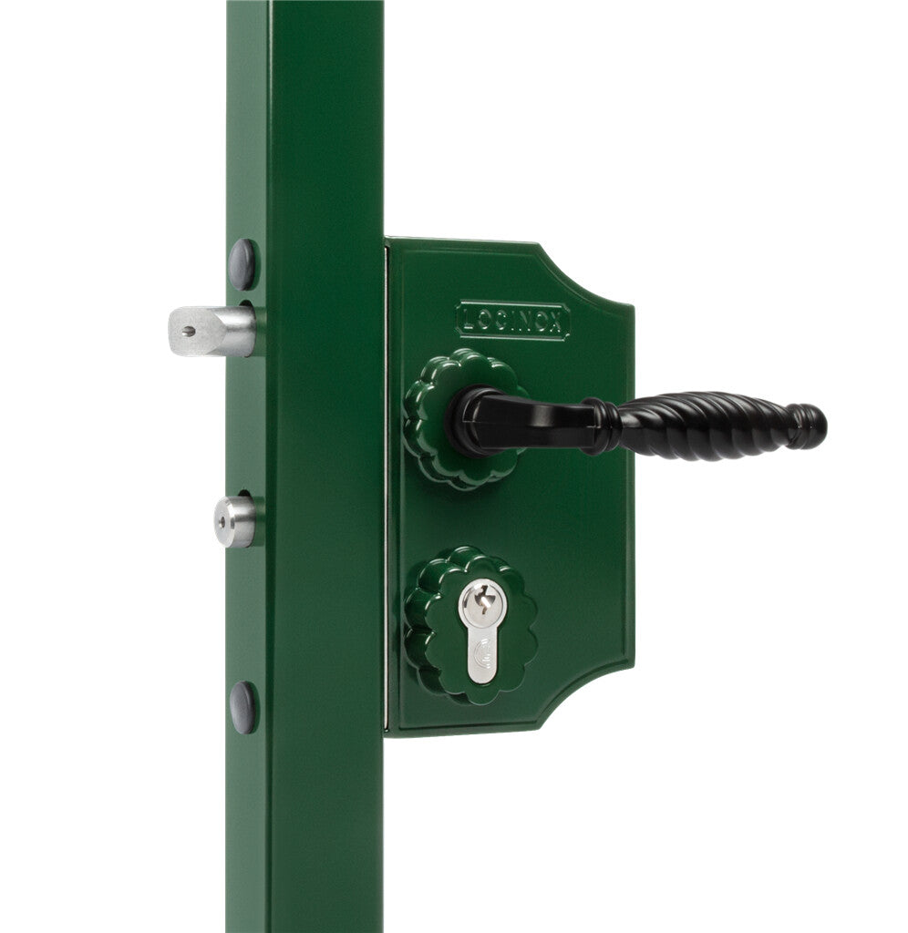 Locinox ant pavirsiaus montuojama didesne ornamentine spyna.