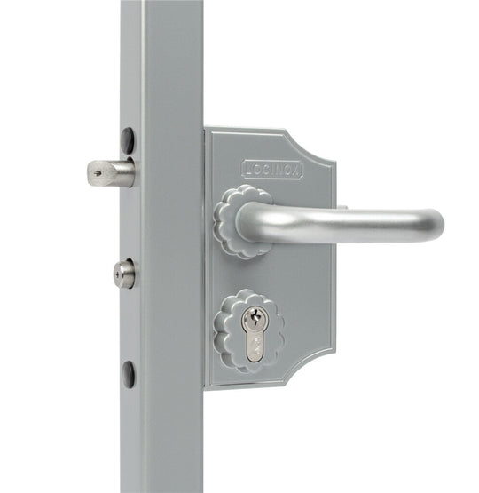 Locinox ant pavirsiaus montuojama didesne ornamentine spyna.