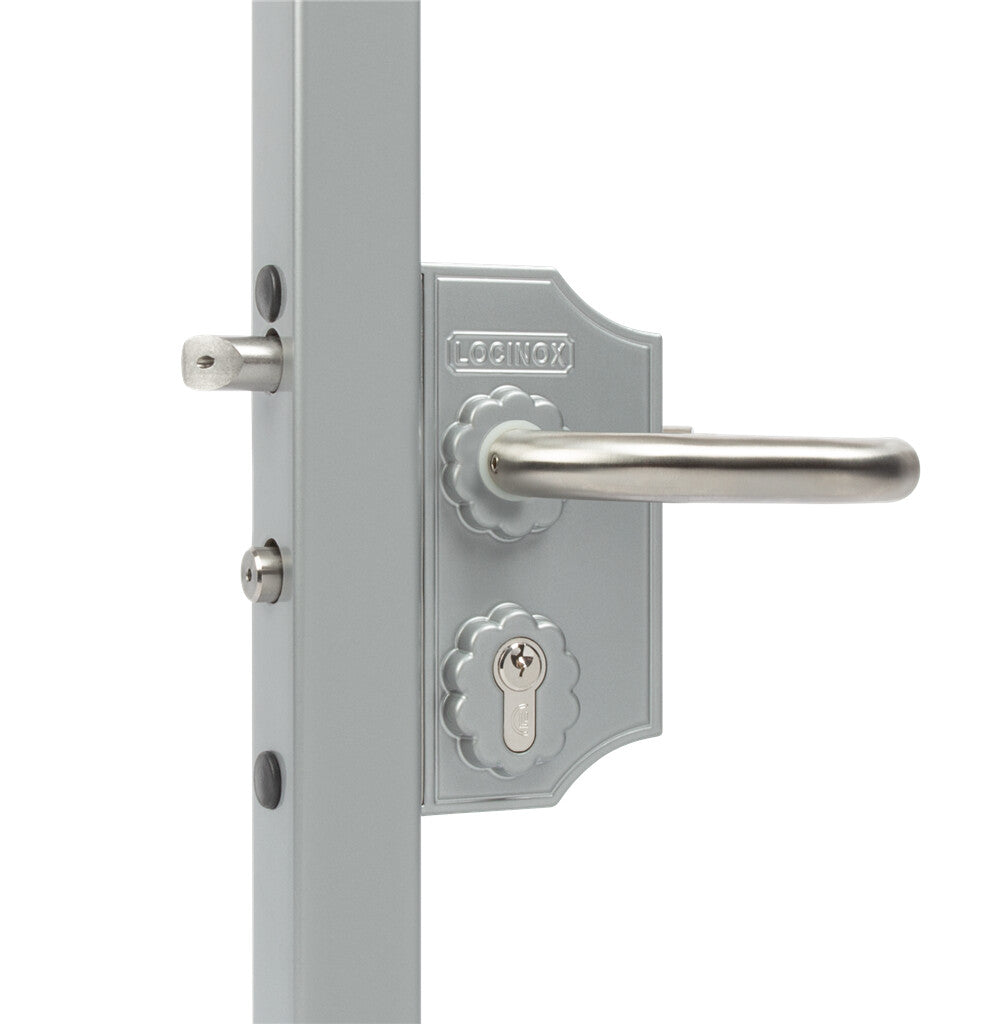 Locinox ant pavirsiaus montuojama mazesne ornamentine spyna.