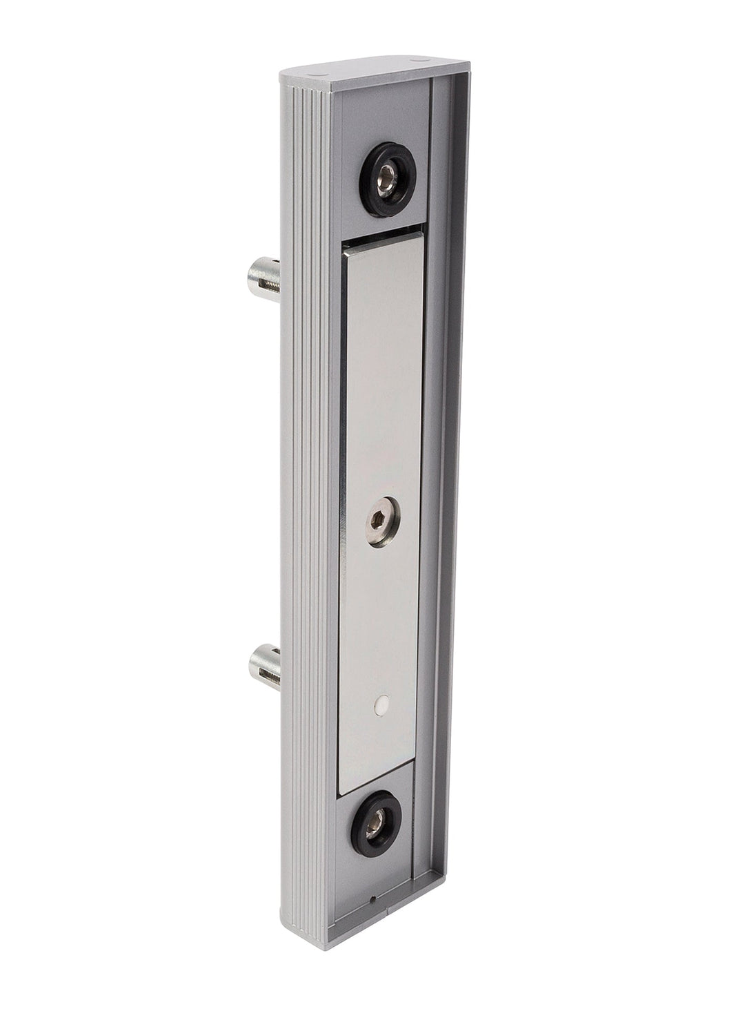 Locinox imontuojama elektromagnetine spyna stumdomiems vartams.