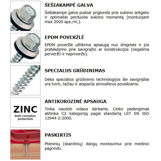 Savigreziai stoginiai i medi sesiakampe galva cinkuoti savybes